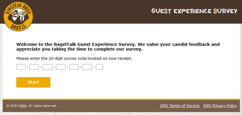 guest experience survey
